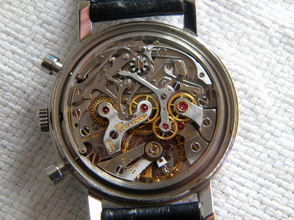 1379947.JPG 1379947.JPG