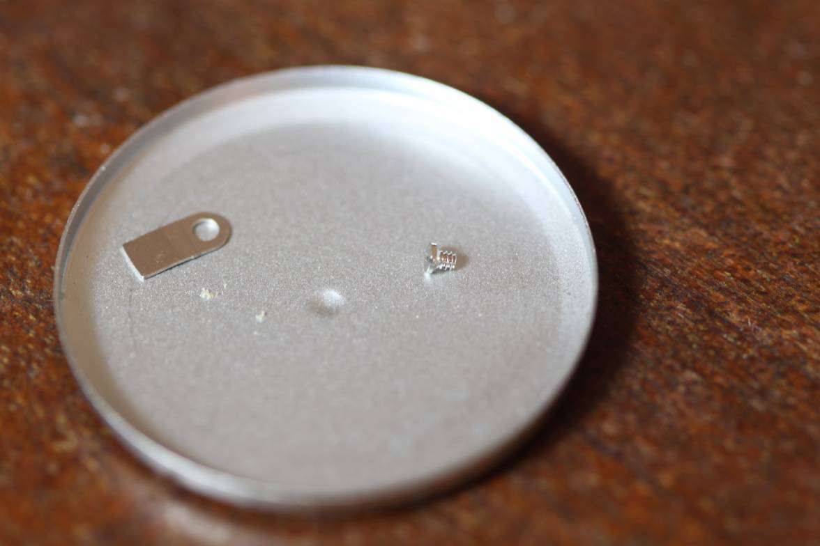 Movement Mount IMG 2397.jpg