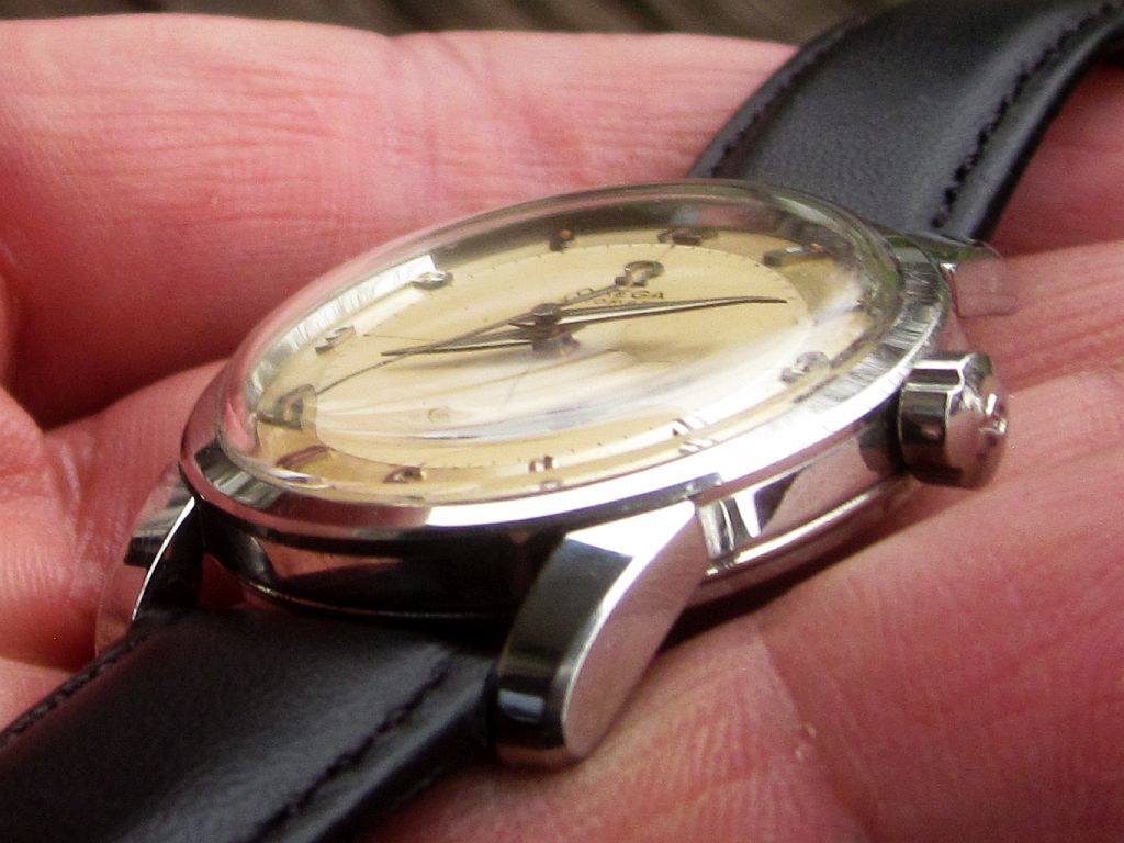 cal 501 2b IMG_4679.jpg