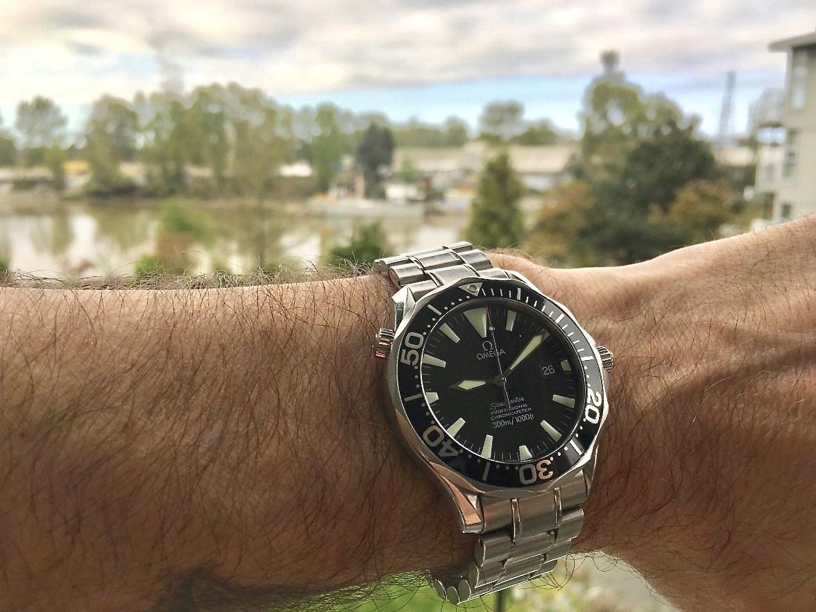 751978-f6877f436d0e501de4e1cd043b38ca5e 2.jpg