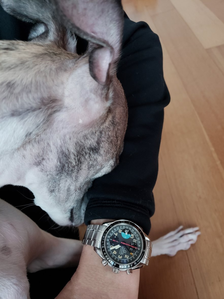 2018-11-03 16.24.29Adj.jpg