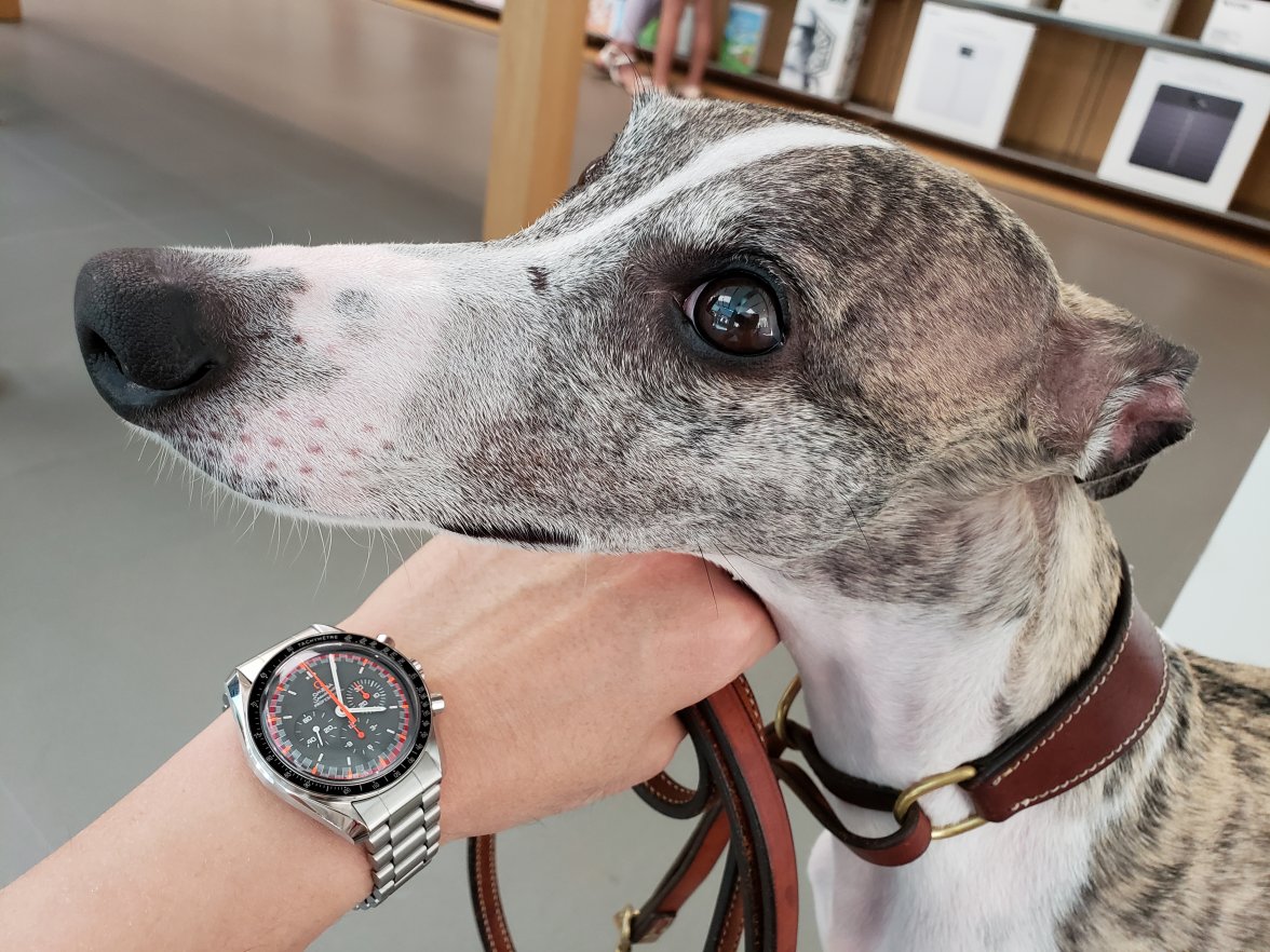 2018-08-05 16.04.26 Adj.jpg