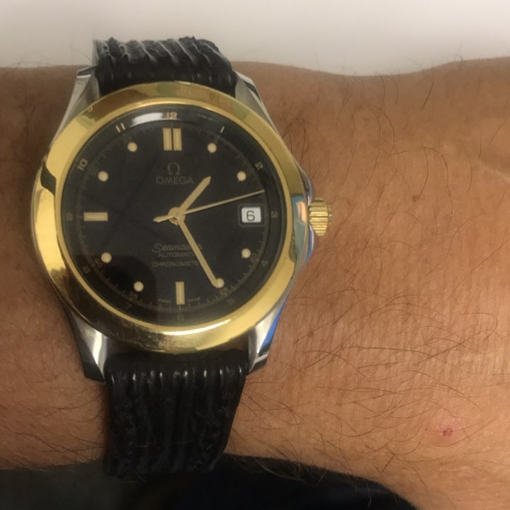 omega 120 on shark wrist shot.jpg