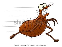 images.jpg images.jpg