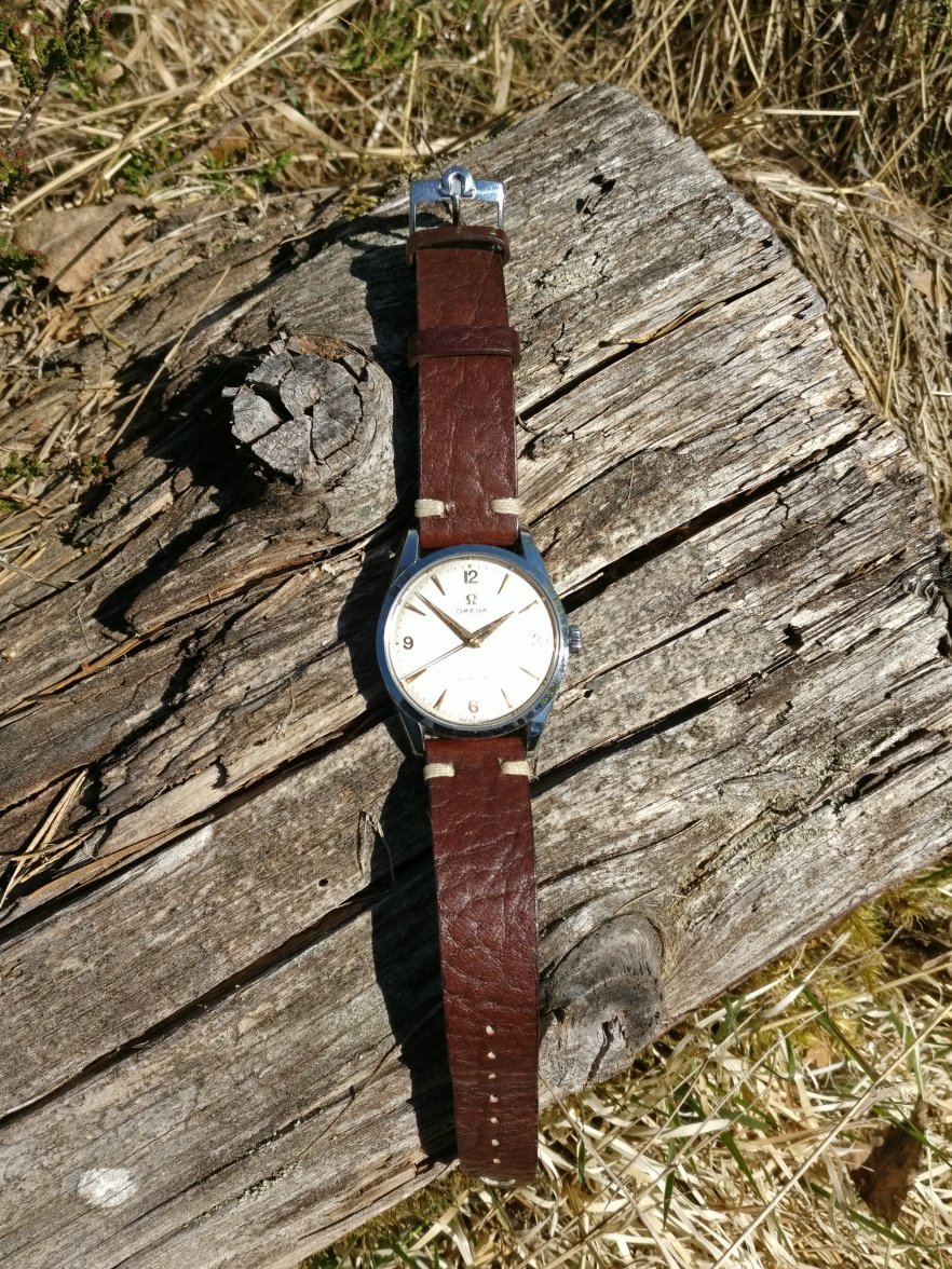 IMG_20190515_122442.jpg IMG_20190515_122442.jpg