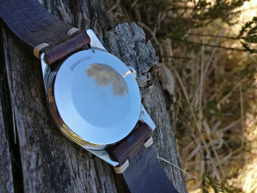 IMG_20190515_122520.jpg IMG_20190515_122520.jpg