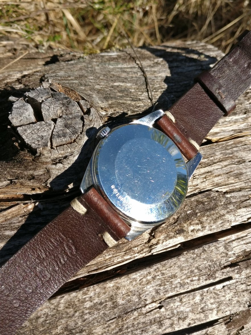 IMG_20190515_122522.jpg IMG_20190515_122522.jpg