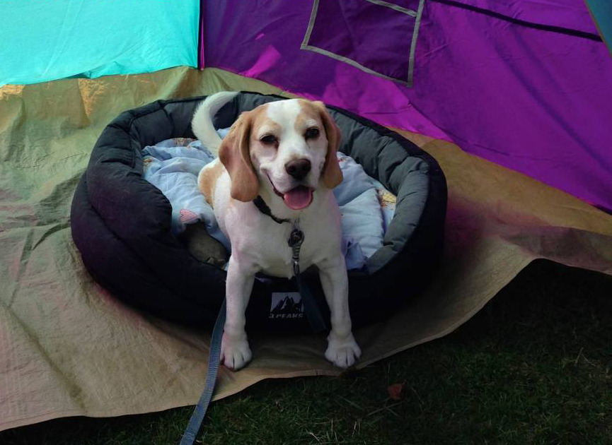 53167-1744949c3c20316cf588f15ce02babfd.jpg 53167-1744949c3c20316cf588f15ce02babfd.jpg