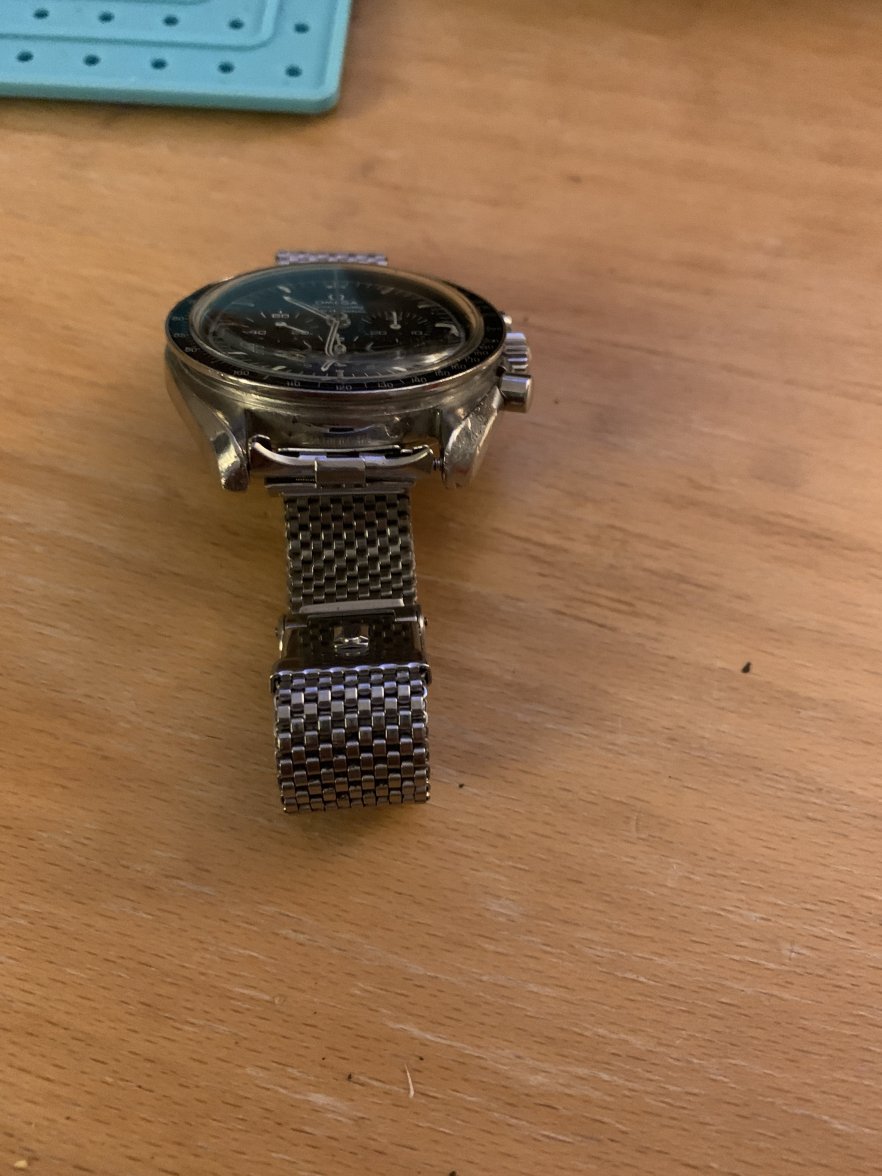 JB Champion Bracelet - Straight Lug Only? | Omega Forums