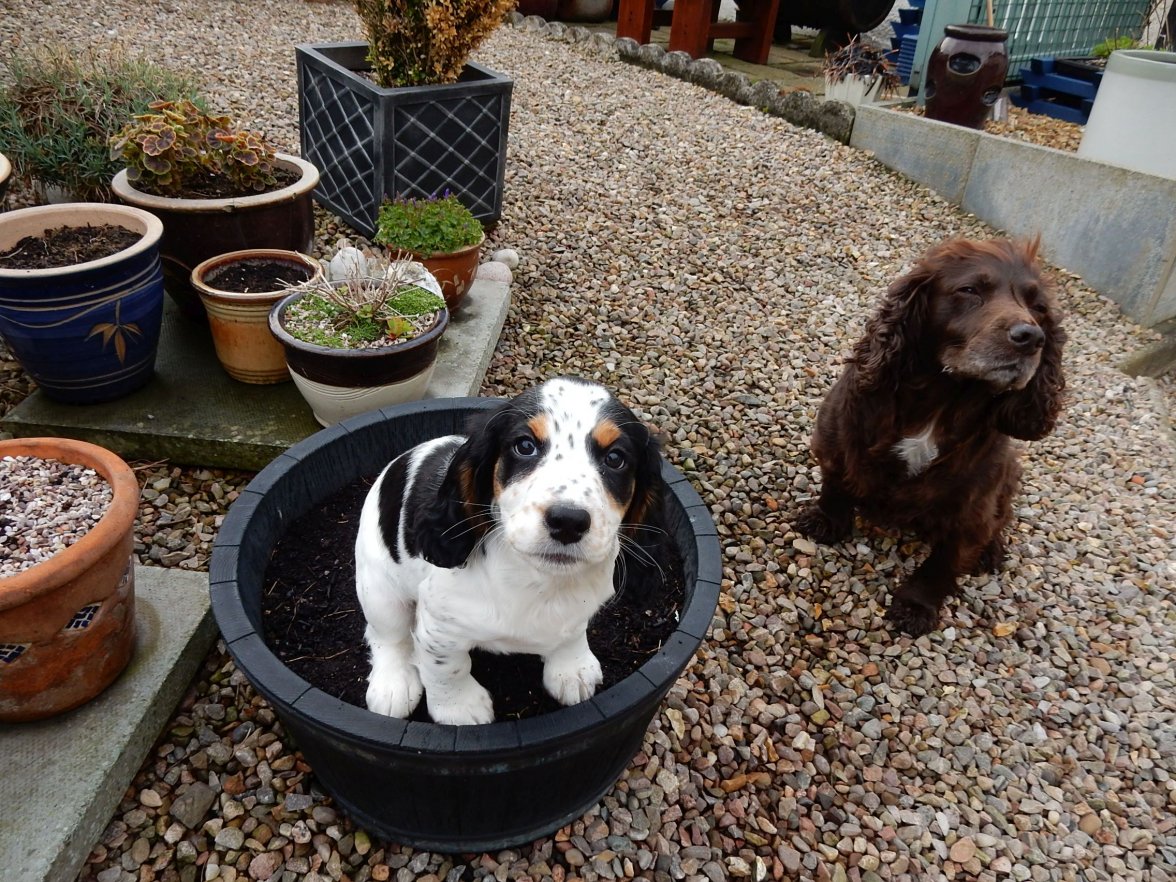 ISA INCA 1 270519.jpg