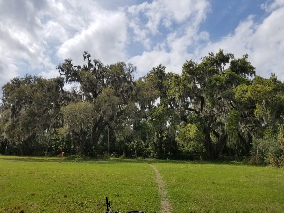 20190304_Fruit Loop Oaks 1.jpg