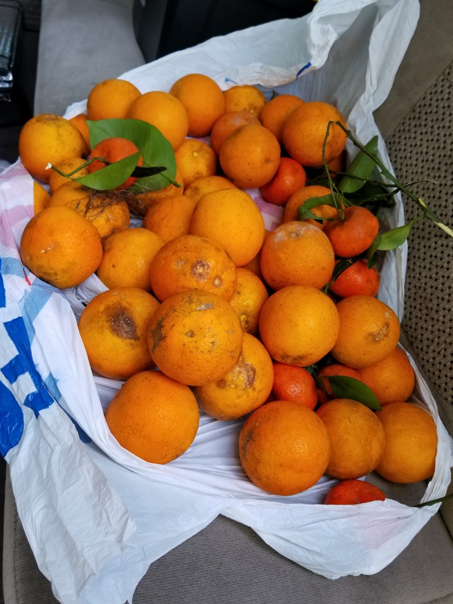 20190310_1st trip through.jpg