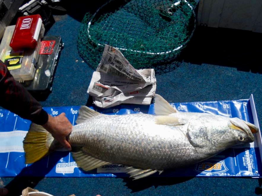 00AE86A4-684C-4BC5-AC2E-4D9EC9019B76.jpeg 00AE86A4-684C-4BC5-AC2E-4D9EC9019B76.jpeg