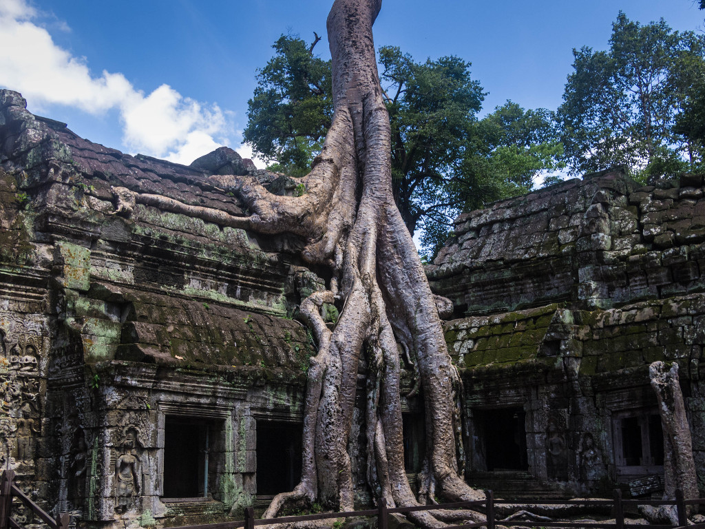 Ta Prohm.JPG