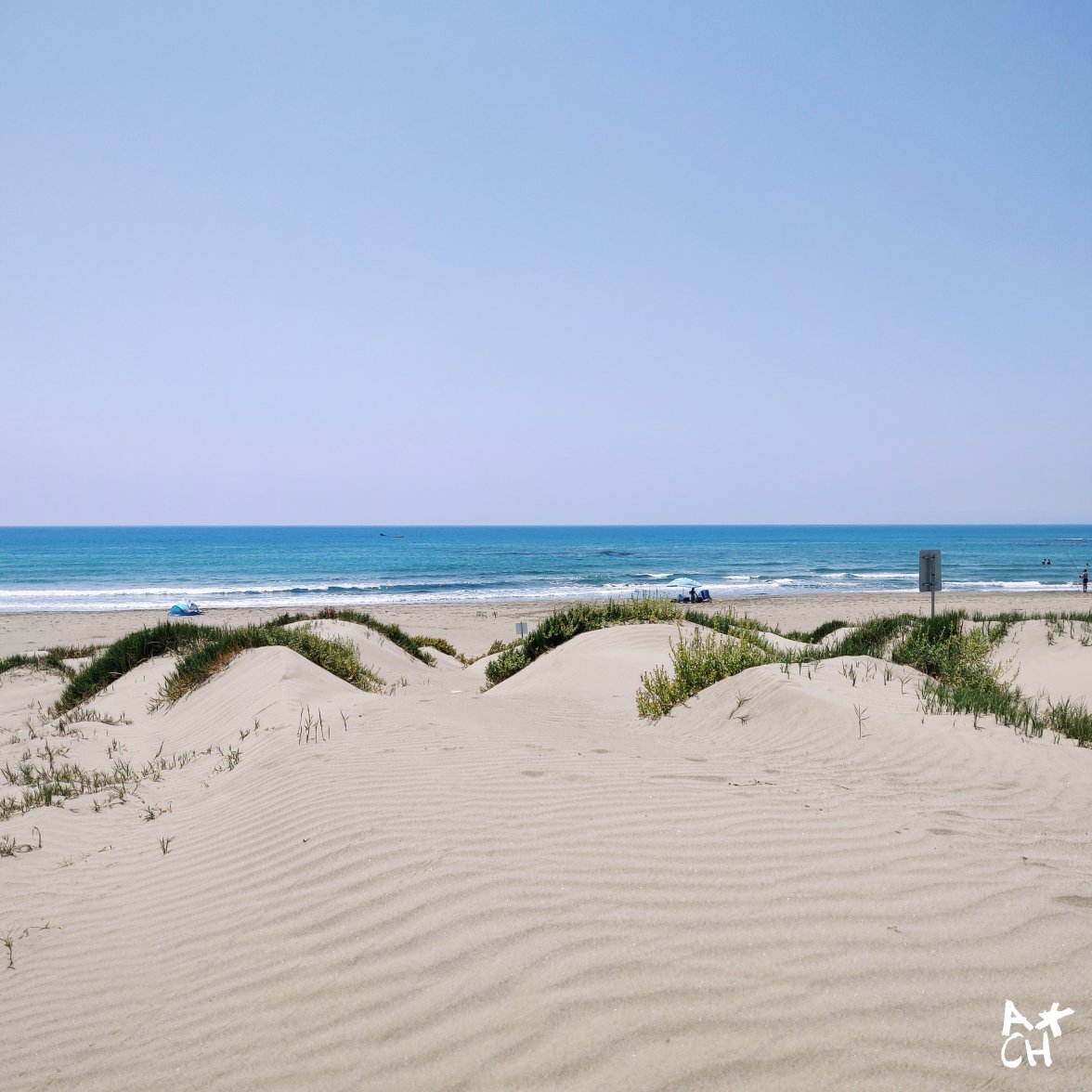 2019-06-16 05.48.51 1.jpg