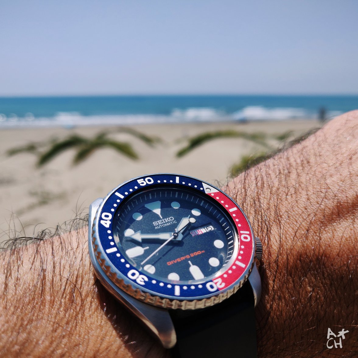 2019-06-16 05.42.56 2.jpg