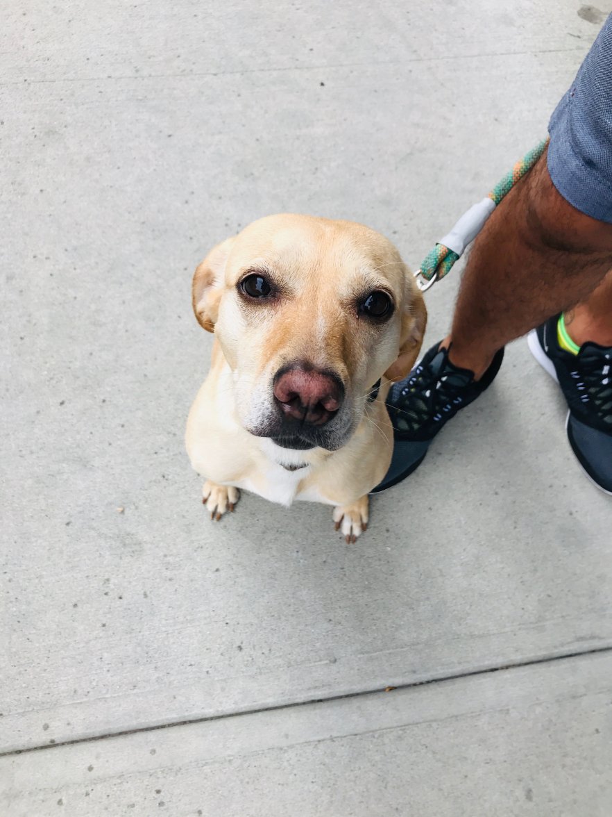 526ED2C2-BE63-4011-BB97-0D98193FB2D3.jpeg 526ED2C2-BE63-4011-BB97-0D98193FB2D3.jpeg