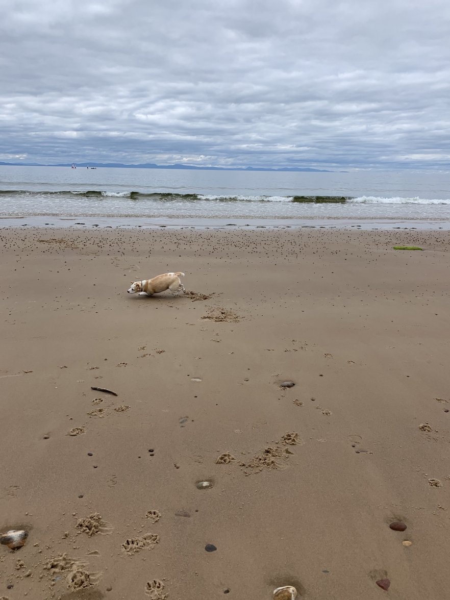 XBXCP1MVT4yWuSEm%XR3wA.jpg XBXCP1MVT4yWuSEm%XR3wA.jpg