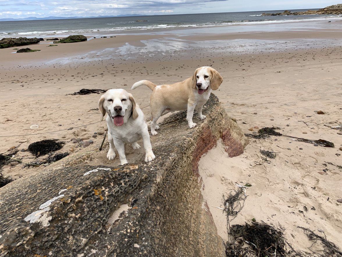 ubhQcEIxQFqJ6qM4lENN5A.jpg ubhQcEIxQFqJ6qM4lENN5A.jpg