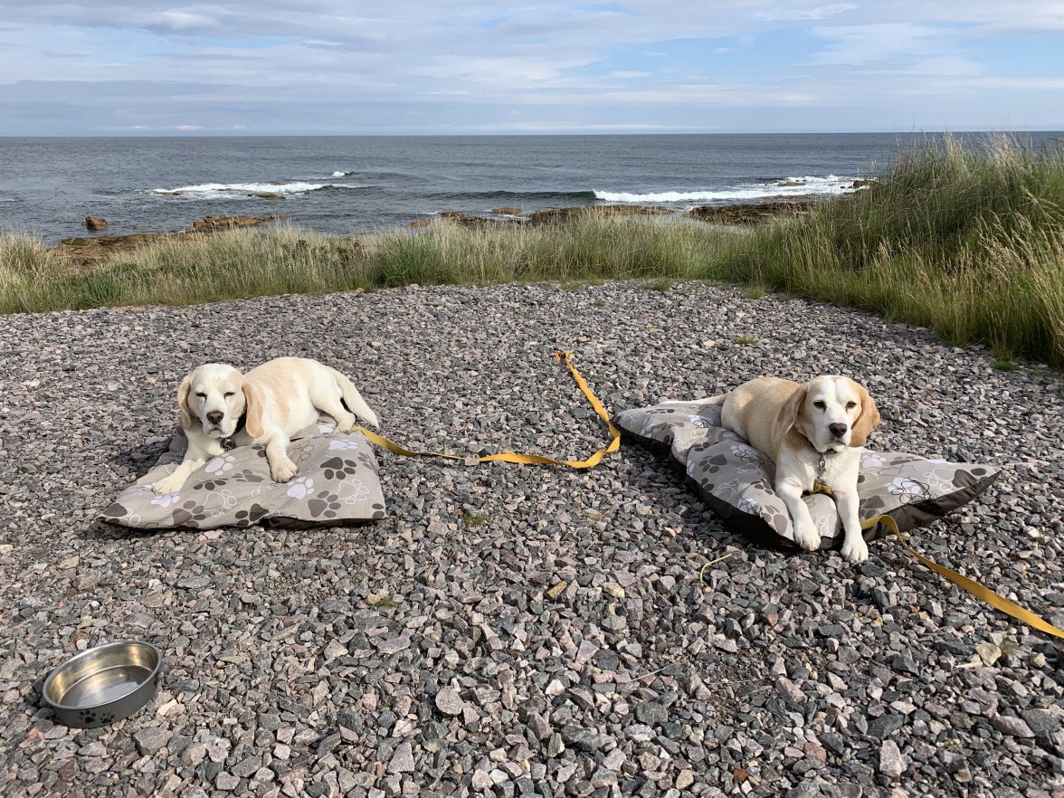 AaIQD9u6RJi%fb11nLYIhw.jpg AaIQD9u6RJi%fb11nLYIhw.jpg