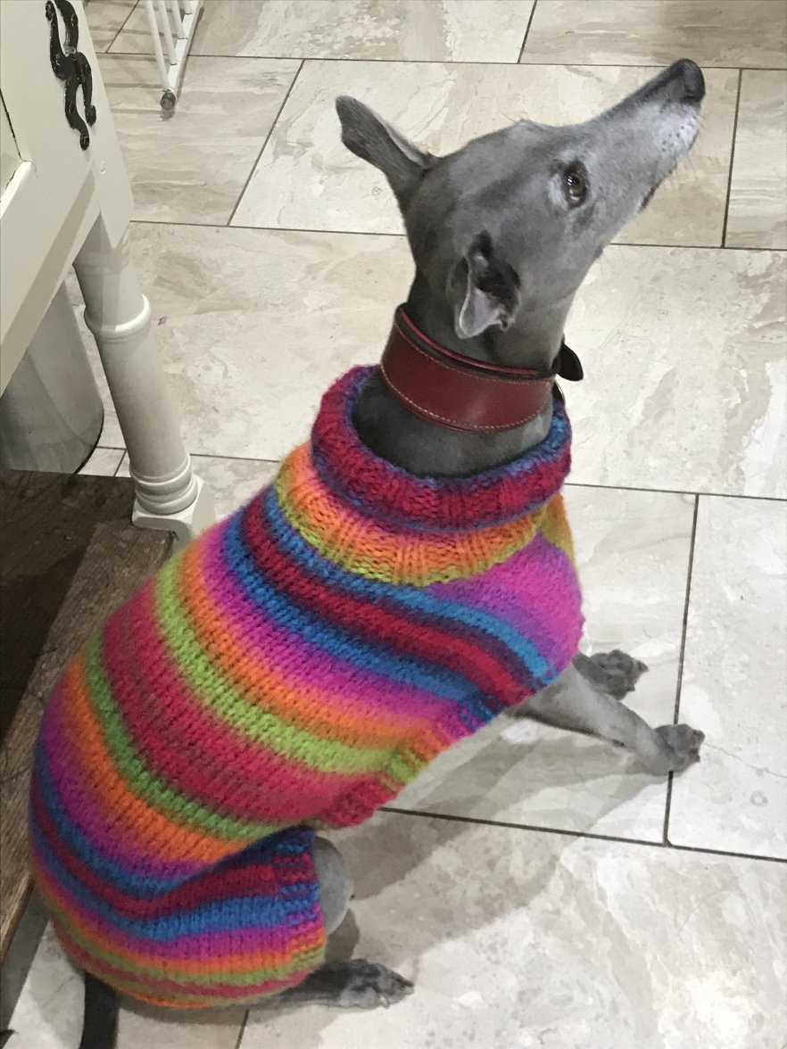 B6549439-85EF-4C4C-BB86-E4AC90742FEC.jpeg B6549439-85EF-4C4C-BB86-E4AC90742FEC.jpeg