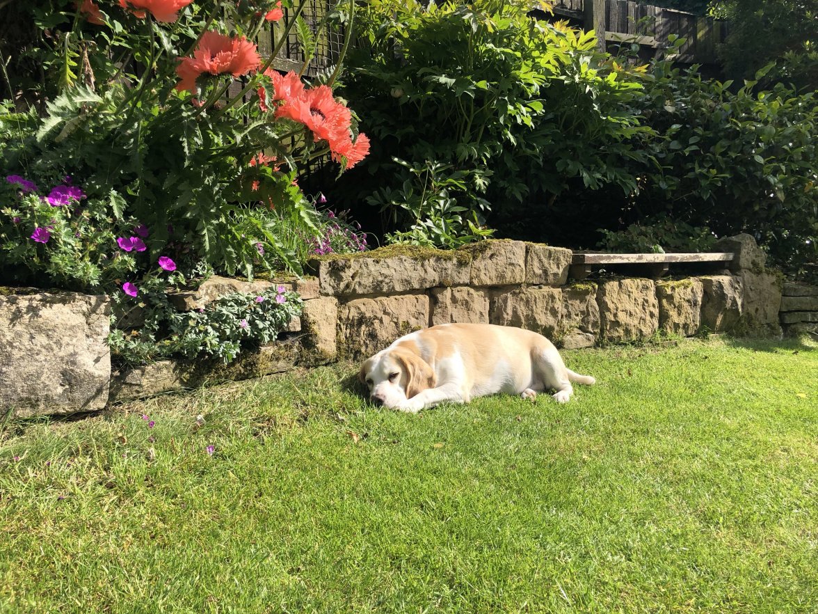 RkF+jkVwRHelhnhlXYJUhw.jpg RkF+jkVwRHelhnhlXYJUhw.jpg