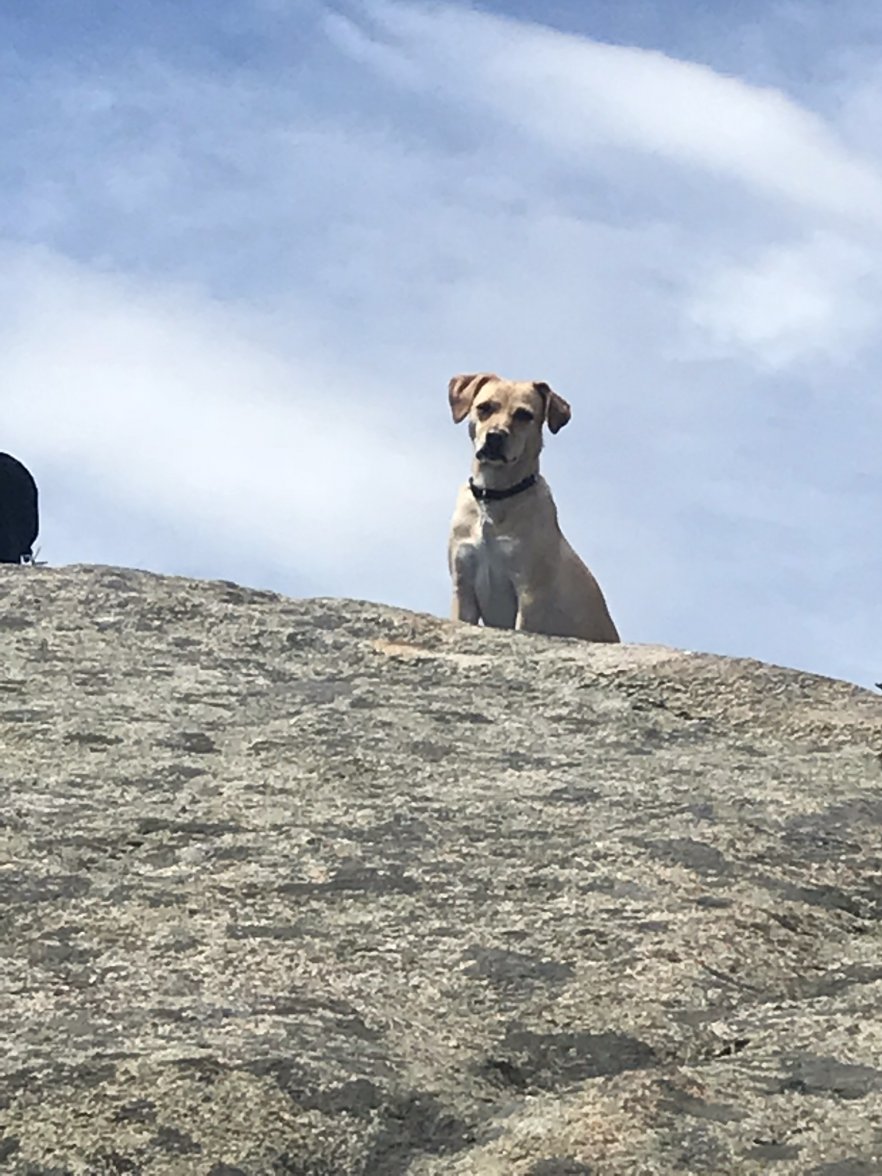 945BAF19-468D-44A9-BA5E-93141773D2EF.jpeg 945BAF19-468D-44A9-BA5E-93141773D2EF.jpeg