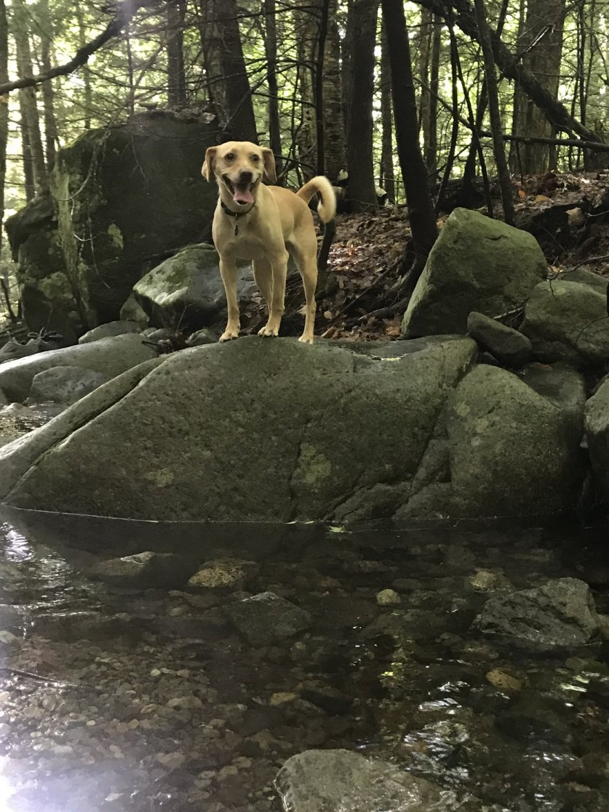 162952AD-B9DF-491B-BA64-08F064EFE430.jpeg 162952AD-B9DF-491B-BA64-08F064EFE430.jpeg