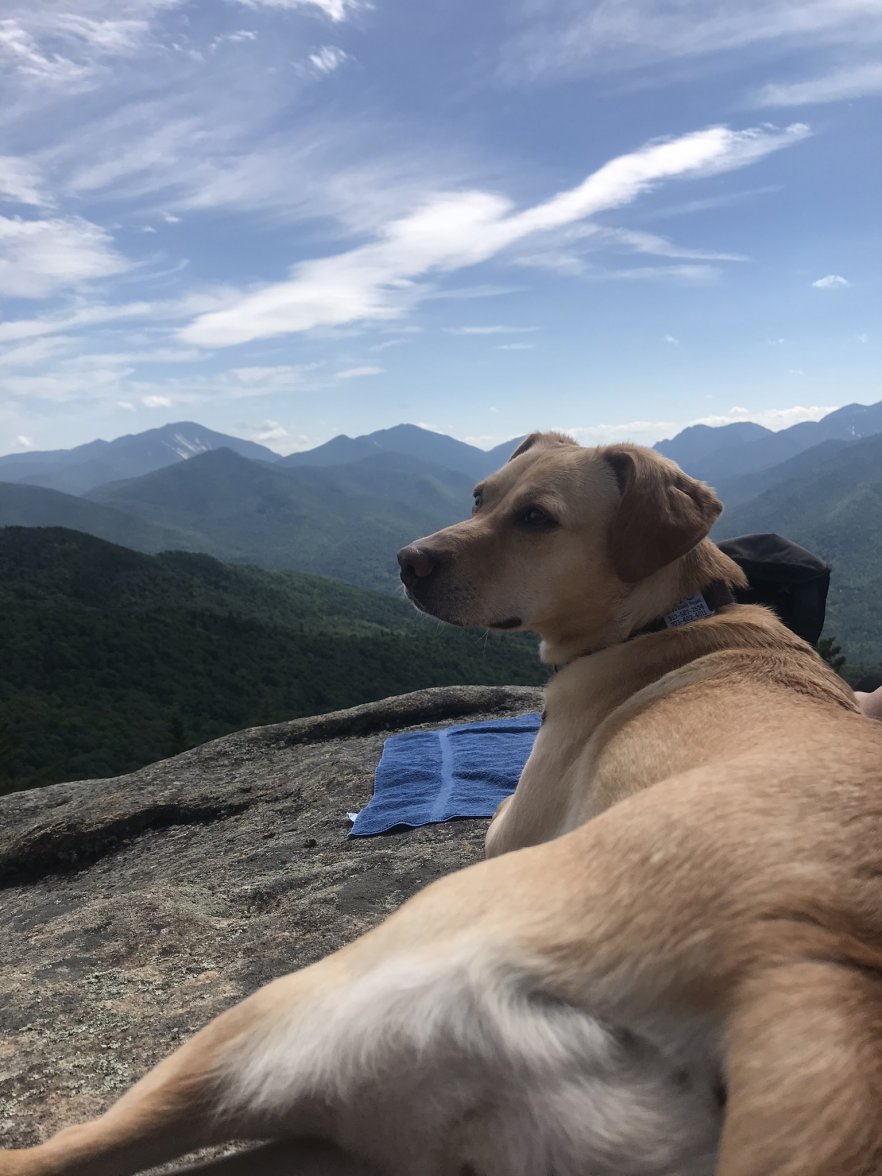 3852AEA6-A918-4FB3-8370-C30B118D9CF9.jpeg 3852AEA6-A918-4FB3-8370-C30B118D9CF9.jpeg