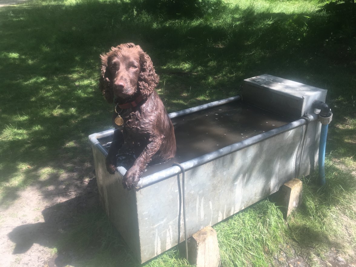 A9A3316A-A1E4-46FA-A400-CA48C4204A5A.jpeg A9A3316A-A1E4-46FA-A400-CA48C4204A5A.jpeg