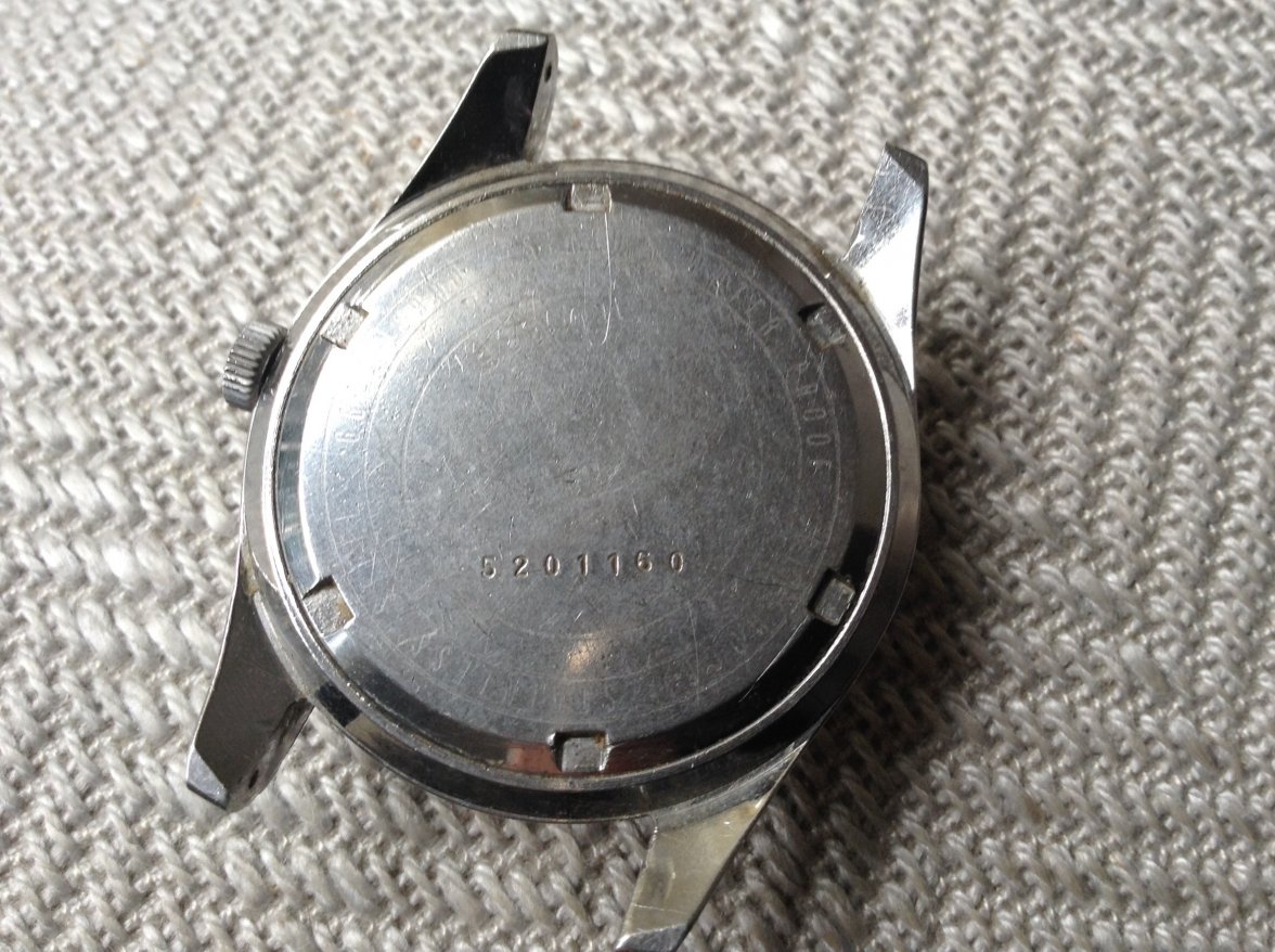 image.jpeg image.jpeg