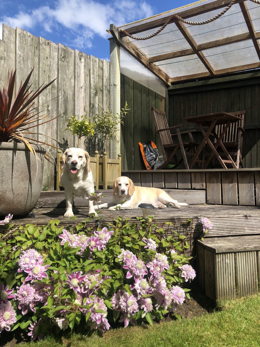 IMG_3027.JPG IMG_3027.JPG