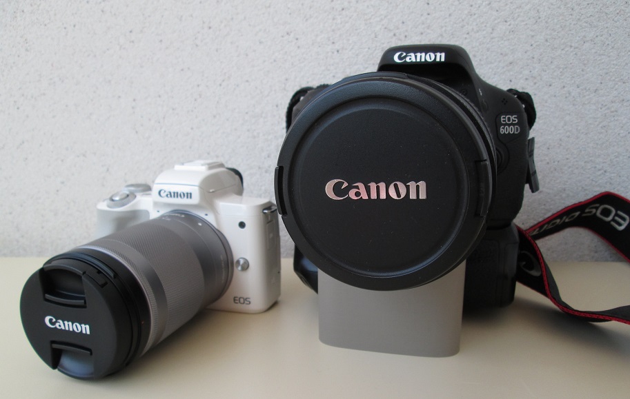 Canon_cameras-2019.jpg