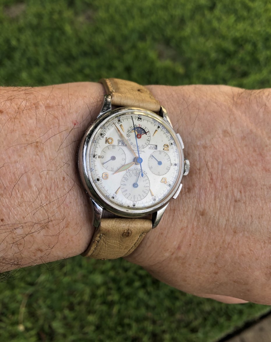 2813743A-2352-43B8-881C-2FDE21E67774.jpeg 2813743A-2352-43B8-881C-2FDE21E67774.jpeg