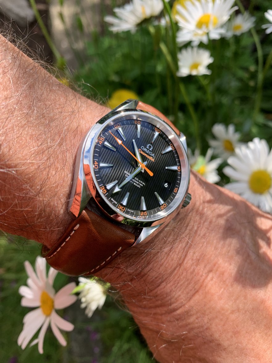 fullsizeoutput_cb6f.jpeg fullsizeoutput_cb6f.jpeg