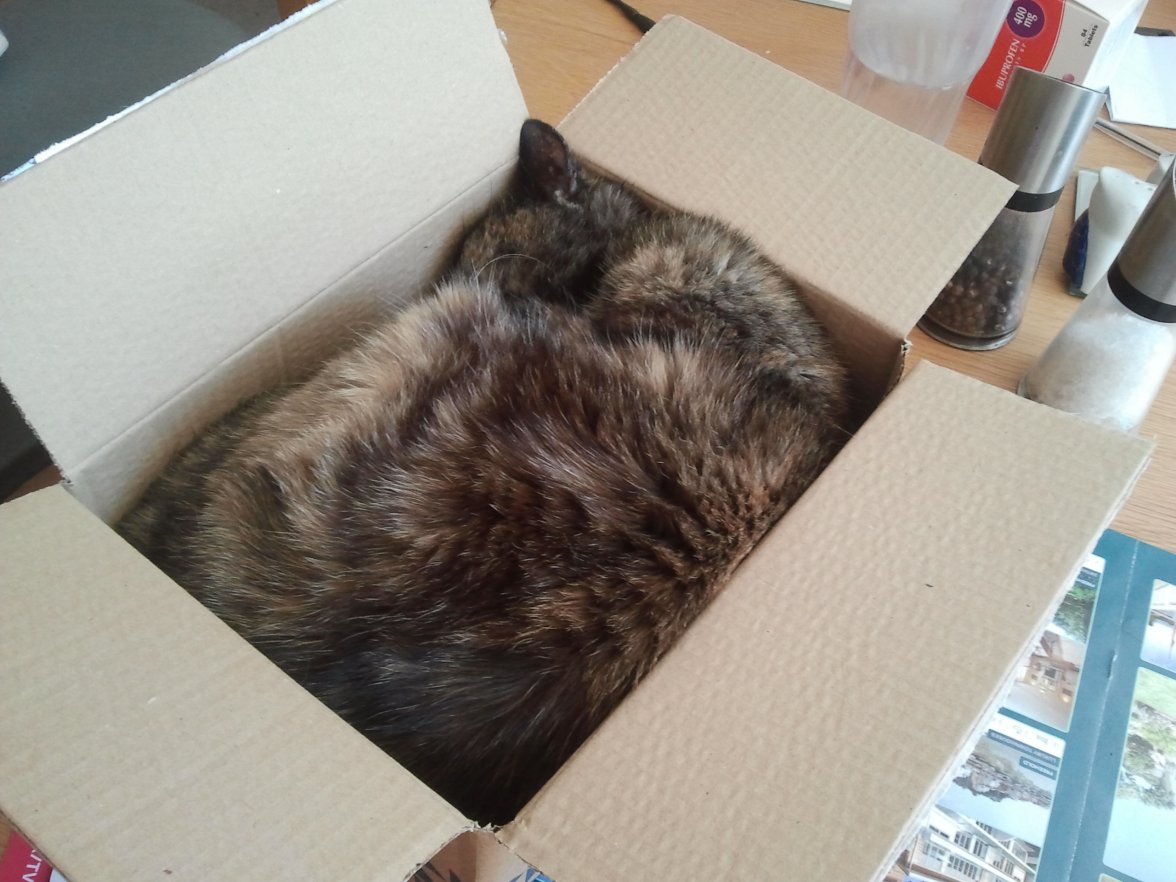 2019-07-06 13.43.44.jpg