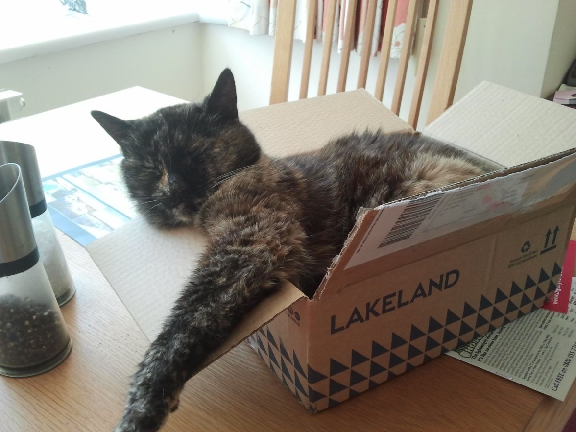 2019-07-06 13.49.16.jpg