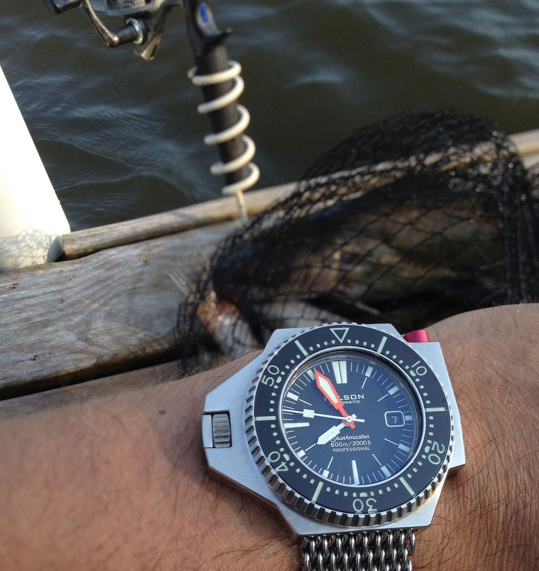 SM600 ws 1 IMG_0740.jpg