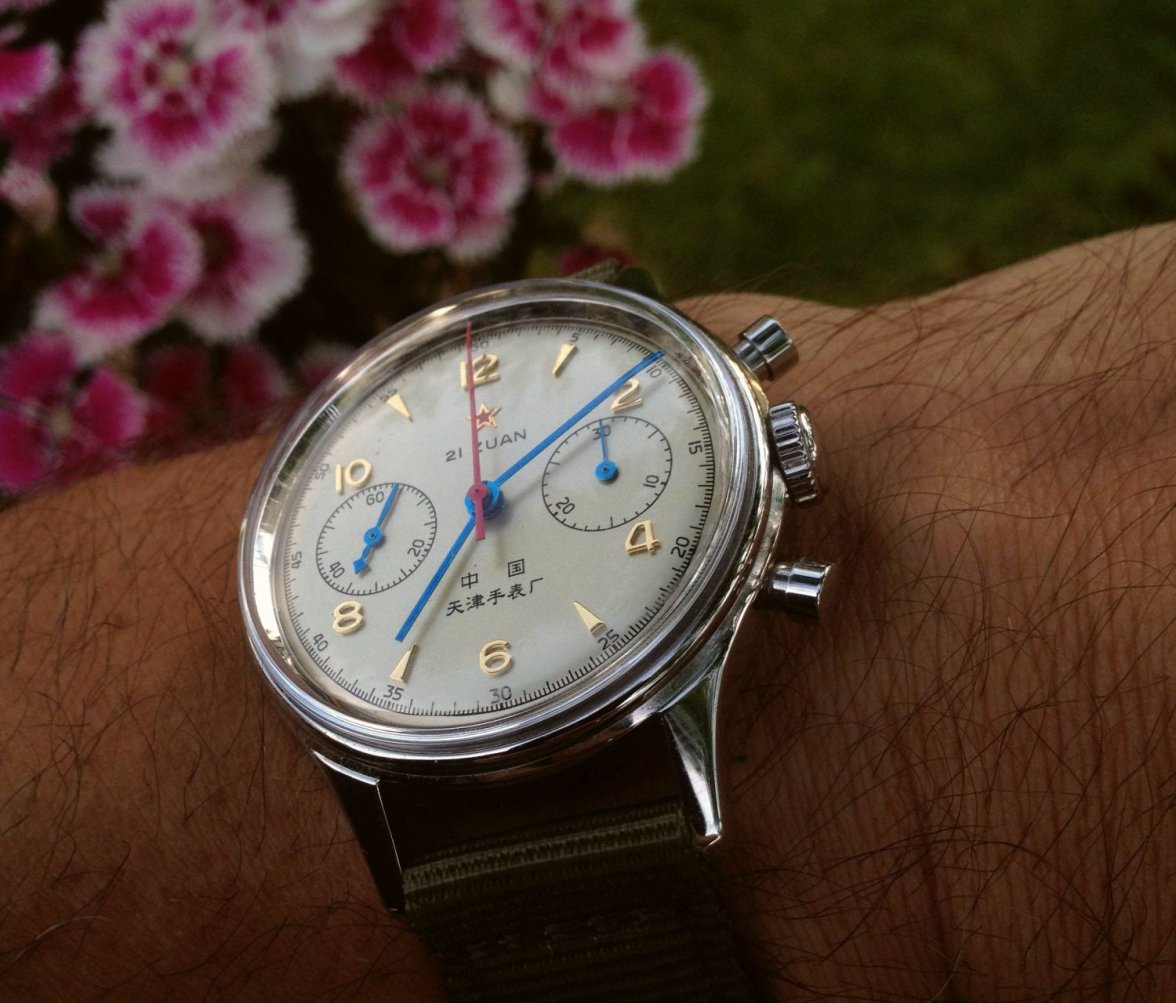 Seagull ws 1b IMG_0943.jpg