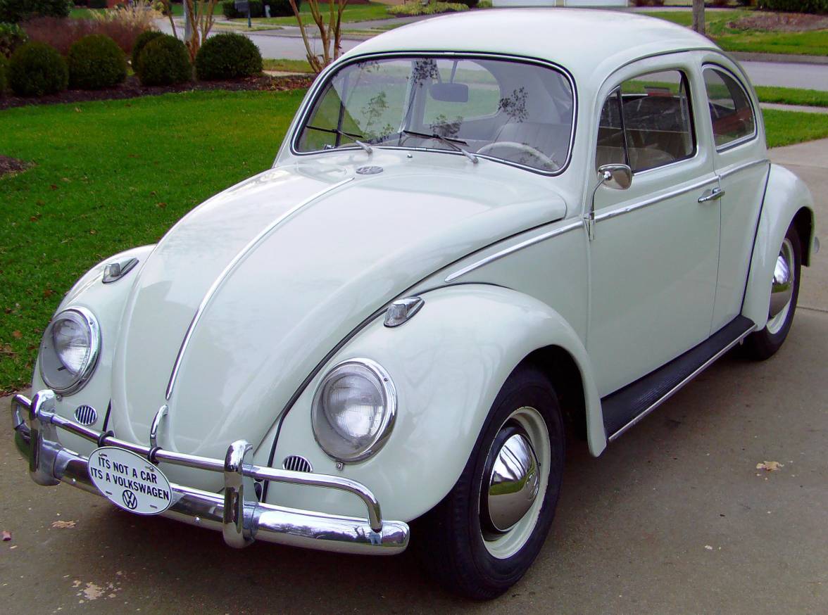 Beetle_01_22_2012.jpg