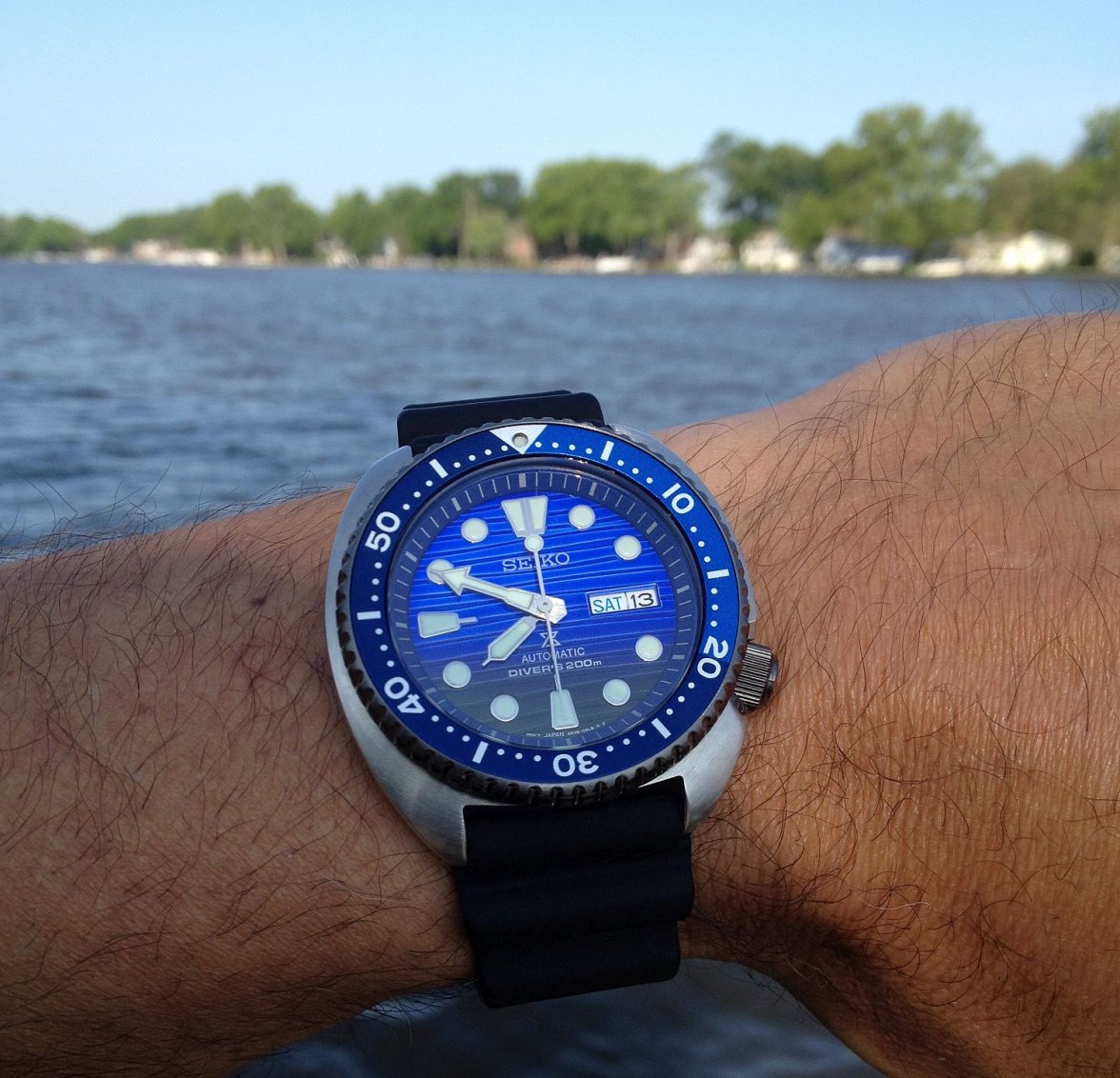 STOT ws 1 IMG_1324.jpg