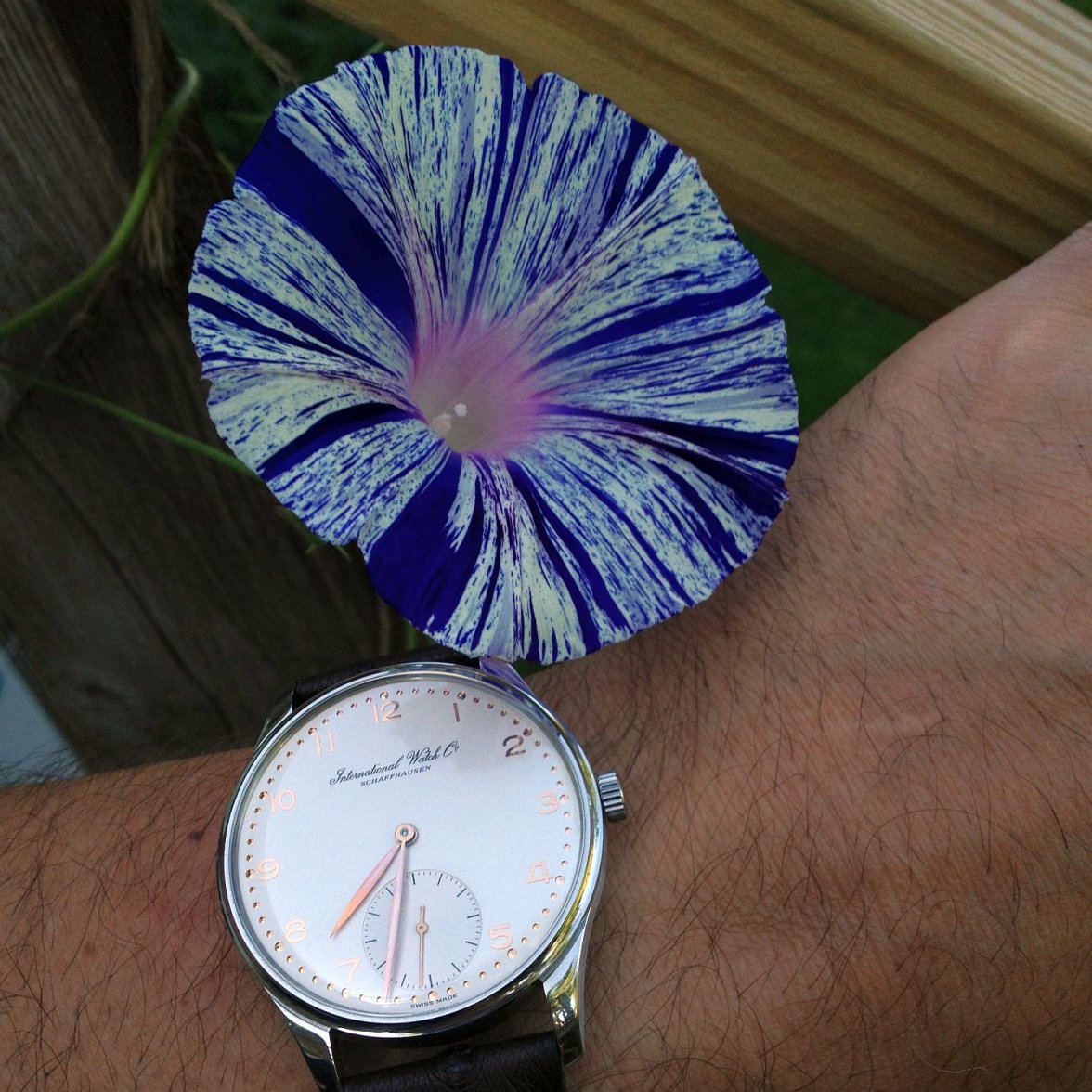 5441 ws 1 IMG_1505.jpg