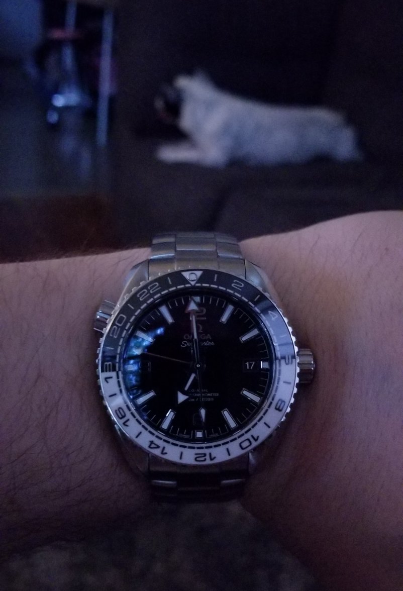 20190717_185951.jpg 20190717_185951.jpg