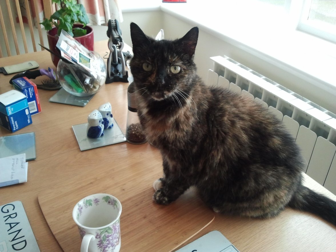 2018-01-26 10.30.19.jpg 2018-01-26 10.30.19.jpg