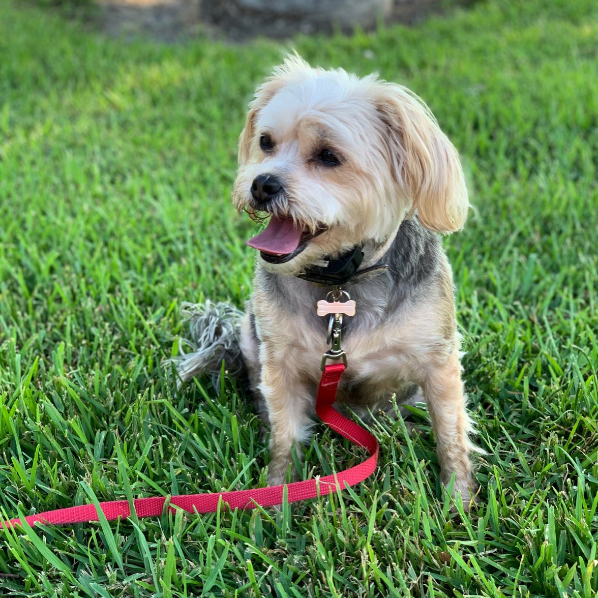 78F5A5EB-6180-4FD2-871B-BE11654A0133.jpeg 78F5A5EB-6180-4FD2-871B-BE11654A0133.jpeg