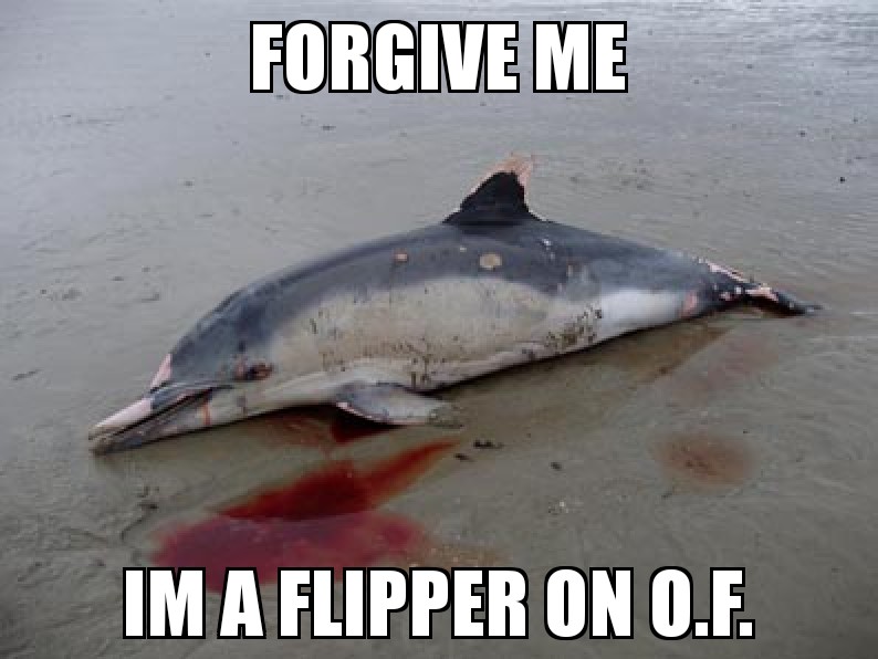 FLIPPER.jpg