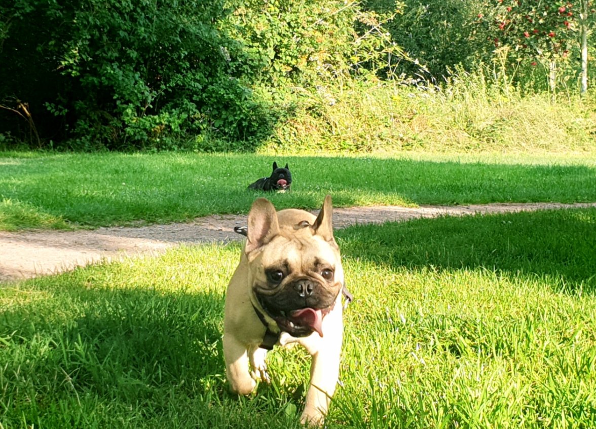 20190730_180042.jpg 20190730_180042.jpg