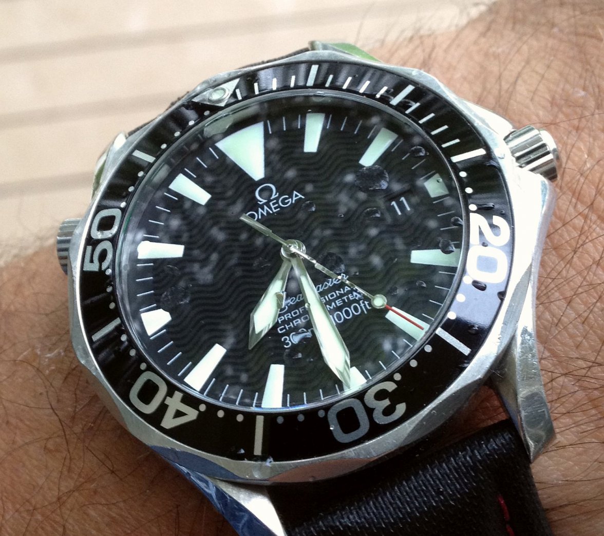 2254 ws 1 IMG_3558.jpg