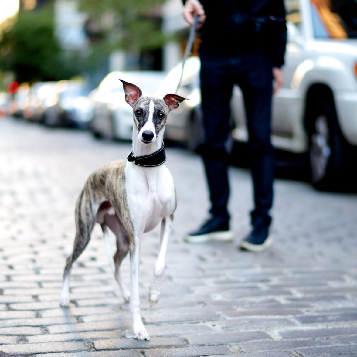 EWF_4909 SMALLER.jpg