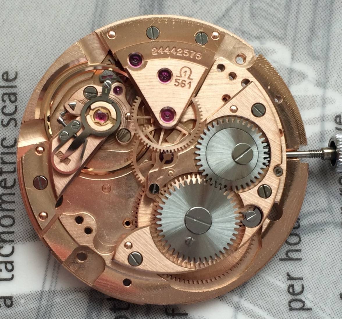 IMG_1871.jpg IMG_1871.jpg